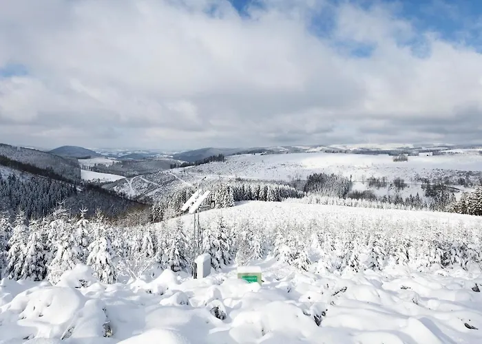 Villa Family With Sauna, 12p *