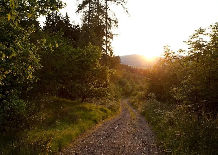 Villa Family With Sauna, 12p Winterberg