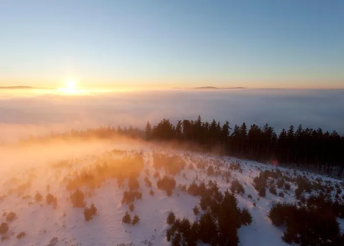 Family With Sauna, 12p * Winterberg