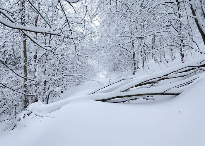 Family With Sauna, 12p Winterberg